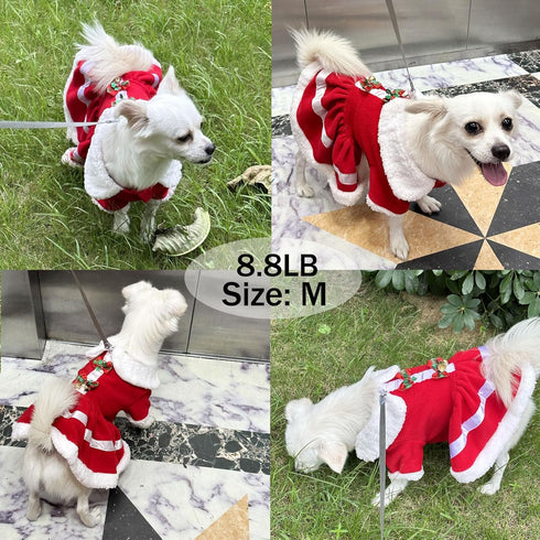 Dog Christmas Dress Costume Pet Santa Claus Clothes Velvet Dresses Puppy Winter Cold Weather Coat Xmas Holiday Outfit Kitty Clothing Red Skirt App...