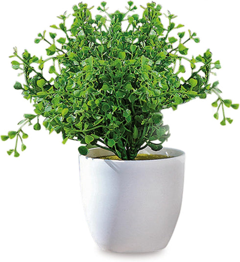 WHW Whole House Worlds Realistic Faux Baby Oregano, Potted Plant, Houseplant, Kitchen, Lushly Leafed, White Pot, Plant Diameter is 6 Inches x 9 3/...