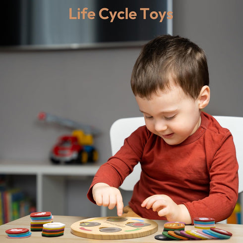 Life Cycle Toys for Kids, 12 Themes Montessori Preschool Science Center Materials, Wooden Learning & Educational Toys for Toddlers, Learning Game ...