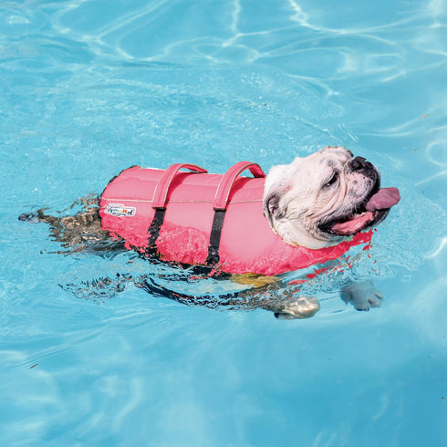 Outward Hound Granby Splash Pink Dog Life Jacket, Small...