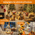 TingMiao 6 Pack Fairy Lights Battery Operated 7.2 ft 20 LED Mini String Lights Waterproof Silvery Copper Wire Firefly Starry Lights for Wedding Be...