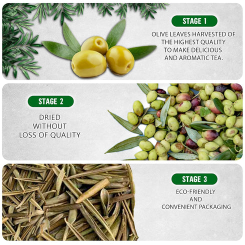 Olive Leaf Tea Loose Leaf – 8 oz Olive Tea – Olive Tea Leaf – Olive Leaf Tea Bulk – Olive Leaf Whole – Caffeine Free – Loose Leaf Herbal Tea - Oli...