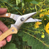 BUGUI 8" Straight Tip Garden Scissors - All Steel Construction with Wooden Handle Gardening Scissors, Premium SK-5 Blade Garden Shears Pruning She...