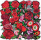 Qingxi Charm 24pcs Assorted Flowers Sewing on/Iron on Embroidered Patches Clothes Dress Hat Pants Shoes Curtain Bag Wallet Sewing Decorating DIY C...