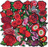 Qingxi Charm 24pcs Assorted Flowers Sewing on/Iron on Embroidered Patches Clothes Dress Hat Pants Shoes Curtain Bag Wallet Sewing Decorating DIY C...