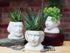 The Unemployed Philosophers Guild Albert Einstein Bust Ceramic Planter...