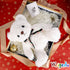 Fluffy White Teddy Bear Stuffed Animals Plush Toys with lattice Tie for Kids Babies Birthday Bedtime, 12 inches...