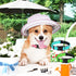 6 Pcs Reflective Dog Collar Soft Padded Breathable Nylon Pet Collar Adjustable Puppy Collar with Safety Locking Buckle for Dogs Cats Puppy Pets Ac...