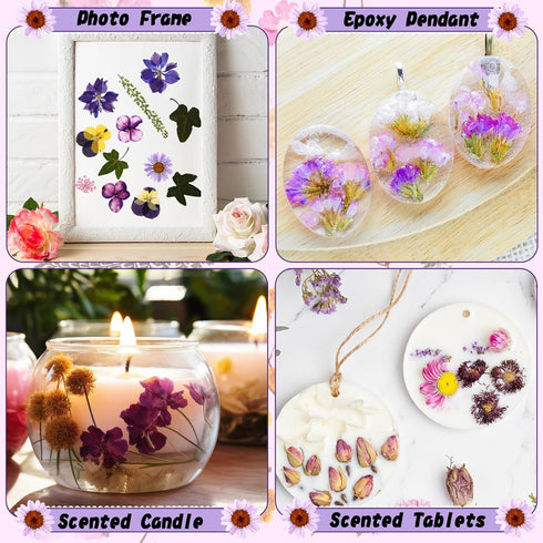 Nuanchu 167 Pcs Real Dried Pressed Flowers Natural Dried Flowers Colorful Dry Daisy Flowers Mixed Dried Flowers for DIY Candle Resin Nails Jewelry...