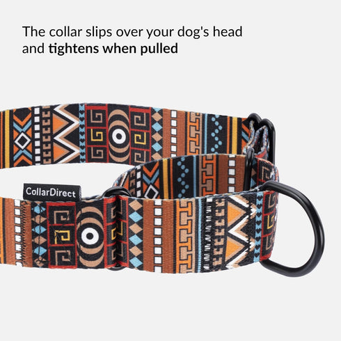 CollarDirect Martingale Collars for Dogs Heavy Duty Tribal Pattern Adjustable Soft Safety Training Nylon Wide Pet Collar Medium Large (Pattern 3, ...
