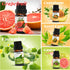 Fragrance Oil, Essential Oils Set 0.34 oz x10 (10 x 10ml), Essential Oils for Candle Making, Essential Oil Home, Aromatherapy Oils, Oil Diffuser E...