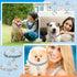 4 Pcs Pearl Dog Collar Necklaces Small Dogs Cats Rhinestones Collar Necklace Set, Crystal Pet Puppy Dog Necklace Adjustable Dog Jewelry for Pet Sm...