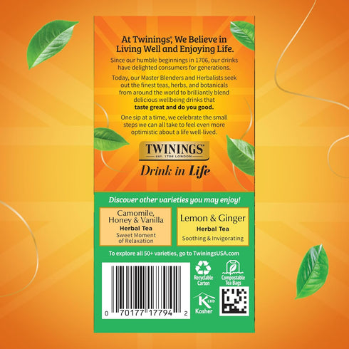 Twinings Decaffeinated Green Tea Individually Wrapped Bags, 20 Count (Pack of 1), Smooth Flavour, Enticing Aroma, Enjoy Hot or Iced, 20 Teabags...