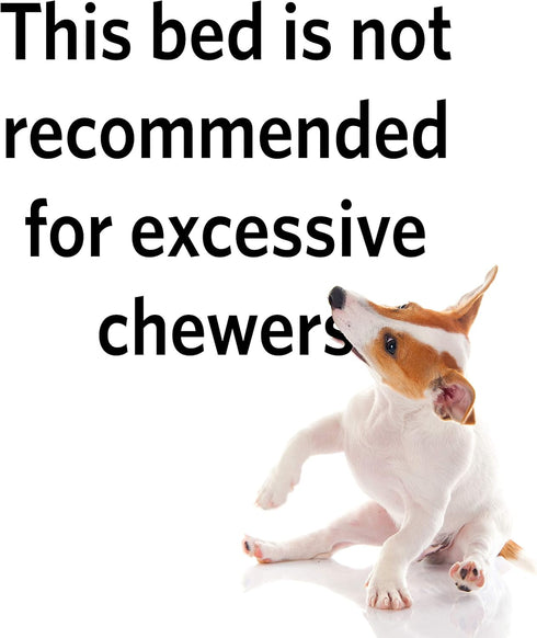 MidWest Homes for Pets Reversible Paw Print Pet Bed in Blue / Cream, Dog Bed Measures 23.5L x 17W x 2.8H for Small Dogs, Machine Wash...