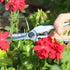 TABOR TOOLS K18A Pruning Shears with Straight Japanese Style Blades, Florist Scissors, Multi-Tasking Garden Snips for Arranging Flowers, Trimming ...