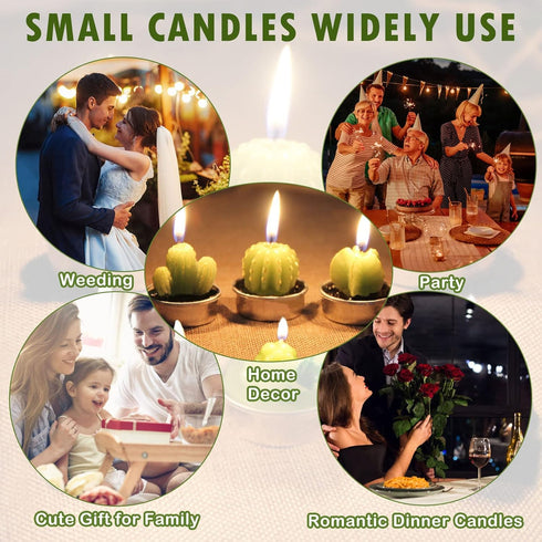 Outee 12 Pcs Cactus Tealight Candles Handmade Delicate Succulent Candle Cactus Candles Smokeless Aromatherapy Mini Candles Tea Lights 12 Styles fo...