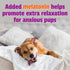 Pet Naturals BusyButter Extra Strength Calming Peanut Butter with Melatonin for Dogs - Great for Treats, Lick Mats, Training, Calming, and Enrichm...
