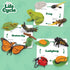 Life Cycle Kit Toy Montessori - Realistic Figurine Toys, Kids Animal Match Set with Frog, Ladybug & Butterfly - Includes 12-Piece, Stocking Stuffe...