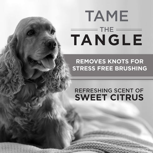 TropiClean Perfect FurDetangler Spray for Dogs - Made in USA - Detangling & Dematting Formula - Removes Mats & Knots for Gentle, Easy Brushing - N...