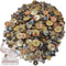 500-600 Pieces Variou Size Resin Buttons Various Shapes Variou Color Sewing Craft Kids Handmade Button Painting DIY Ornament with 60" Long Soft Ru...