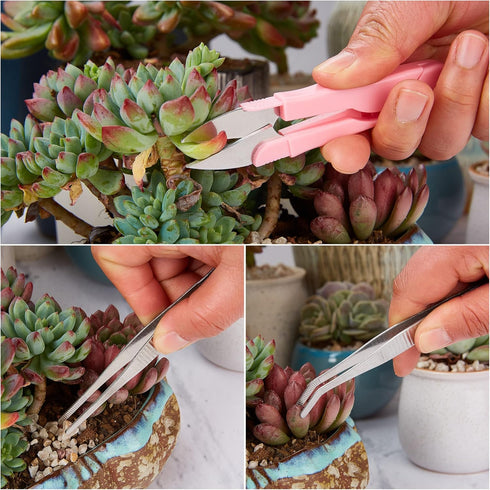 Succulent Tools,24 Pcs Mini Garden Tools Set,Transplanting Tools Miniature Succulent Hand Tools Set with Plant Potting Tarp Mat, Succulent Kit for...