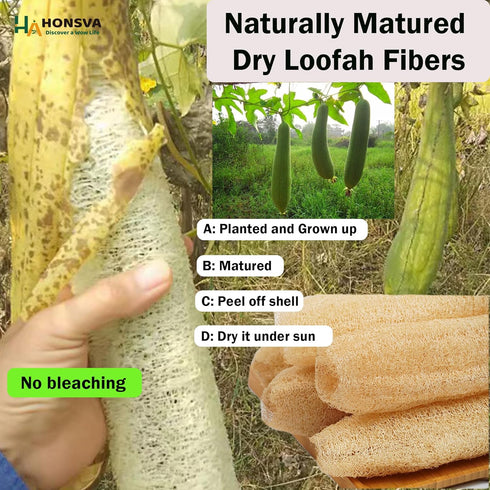 Natural Loofah Kitchen Sponge (6 Pcs) No Scratch Brush for Dishwashing, 100% Plant Fibers Vegetable Scrubber, Zero Waste and Eco Friendly Loofa, R...