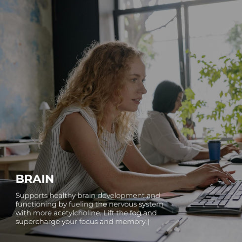 UMZU Choline Supplement for Cognitive and Hormonal Support | Acetylcholine Booster Helps Brain Focus, Memory & Metabolism | Promotes Liver Health ...