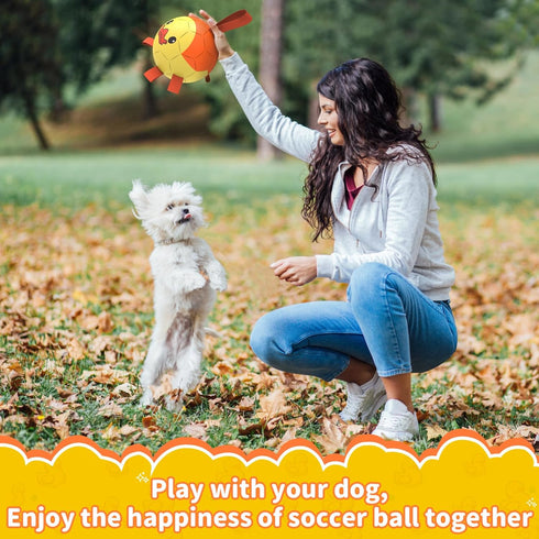 Dog Toys Soccer Ball with Straps - Durable Dog Balls for Small Medium Dogs, Beach Pool Dog Water Toy, Duck Dog Toy, Puppy Dog Birthday Gifts, Herd...