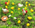 22Pcs Miniature Family Chicken,Cock,Hen,Egg,Chickens Nest Ornament Micro Landscape Fairy Garden Décor...