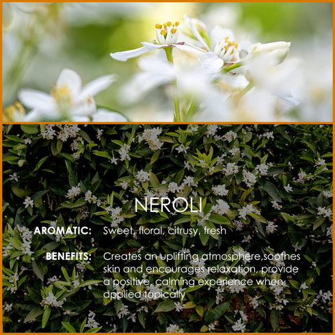 Neroli Essential Oil 4 Fl Oz (120ml) - Pure and Natural Neroli Aromatherapy Fragrance Oil, Neroli Oil for Diffusers, Candle Making, Massage, Soap,...