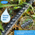 2024 Flat Soaker Hose 10 ft with Stakes for Garden, 10ft Linkable Drip Hose Diy Automates Garden Irrigation System Saving 80% Water, Dual-layer Le...