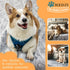 1 Pc Dog Blankets Washable - Soft Dog Blanket for Medium Dogs and Cats,Fluffy Flannel Pet Blanket Mat Cover for Bed Couch, Cute Print Puppy Blanke...