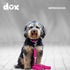 DDOXX Nylon Dog Leash, 3-Way Adjustable, 6.6 ft - for Dogs Large & Small - Double Dog Leash for Two Dogs/Cats/Puppies - Slip Leash/Training Leash ...