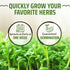 17 Herb Culinary Seed Vault - 5200+ Herbs Seeds for Planting Indoor or Outdoor Garden - Heirloom, Non GMO | Hydroponic Herb Garden Seeds with High...