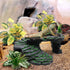 Reptile Artificial Plants, Terrarium Plants Decorations Supplies, Aquarium Fish Tank Plant, Amphibian Habitat Hideout Tank Accessories(M Set-4pcs/...