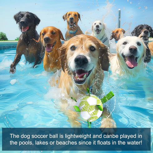 Dog Toys Soccer Ball with Straps, World Cup Interactive Toys for Tug of War, Dog Water Toys, Puppy Birthday Gifts for Small & Medium Dogs (Cabbage...