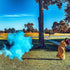 Winsharp Gender Reveal Baseball Set - 2 Balls - Pink and Blue Exploding Gender Reveal Ball with Powder, Baseball Or Bows Party Supplies Decoration...
