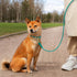 OOOPSDOGGY Reflective Rolled Leather Dog Leash 6ft - Soft Leather Dog Lead for Small Medium Large Dogs Puppy - Heavy Duty Rope Dog Leash for Outdo...