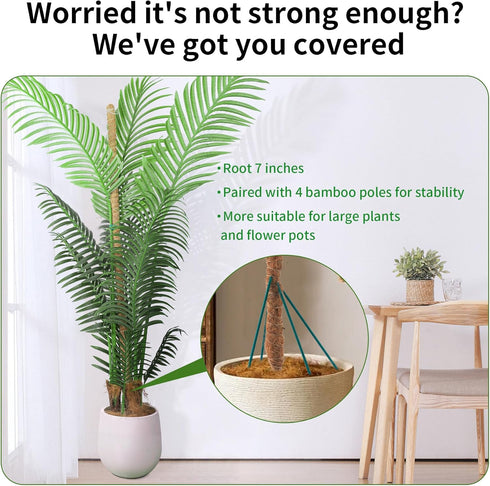 Moss Pole, 49 Inch Bendable Moss Pole for Climbing Plant, Monstera Plant Support, Moss Pole for Plants Indoor, Plant Support Stakes for Indoor Pot...