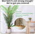 Moss Pole, 49 Inch Bendable Moss Pole for Climbing Plant, Monstera Plant Support, Moss Pole for Plants Indoor, Plant Support Stakes for Indoor Pot...