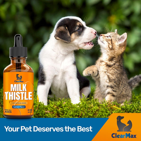 Milk Thistle for Dogs & Cats ? Milk Thistle for Cats ? Dog Milk Thistle ? Liver Support for Dogs & Cats ? Kidney Support for Dogs ? Milk Thistle L...