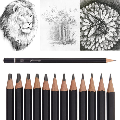 Sketch Pencils for Drawing,12 Pack Drawing Pencils, Art Pencils, Graphite Pencils, Art Pencils for Drawing and Shading, Sketching, Artist Pencils ...