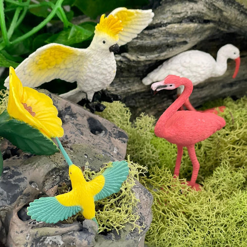 Safari Ltd. Exotic Birds TOOB - 10 Figurines: Parakeet, Quetzal, Macaw, Hummingbird, Toucan, Cockatoo, Flamingo, Snowy Owl, Parrot - Educational T...