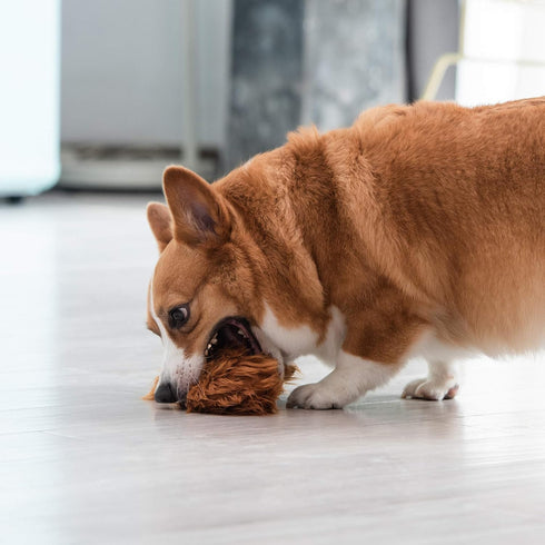 Star Wars for Pets Plush Chewbacca Flattie Dog Toy | Soft Star Wars Toys for Dogs, Brown, Large - 9" | Cute Dog Toy, Squeaky Dog Chew Toy for Pets...