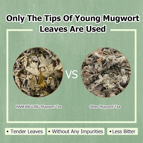 HANFANGLING Mugwort Leaf Herbal Tea Loose Leaf Natural Mugwort Sprouts 1.76oz...