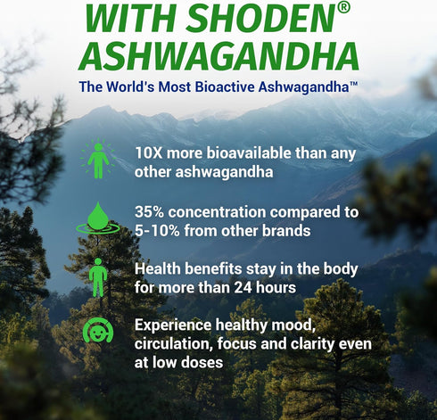 1 Body Ashwagandha Complex with Shoden® – Clinically Supported Stress Relief, Sleep, and Energy Support – Vegan, Non-GMO Supplements – 60 Capsules...