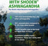 1 Body Ashwagandha Complex with Shoden® – Clinically Supported Stress Relief, Sleep, and Energy Support – Vegan, Non-GMO Supplements – 60 Capsules...