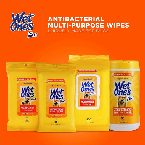 Wet Ones for Pets Multi-Purpose Dog Wipes with Aloe Vera, 50 Count - 3 Pack | Dog Wipes for All Dogs in Tropical Splash, Wipes for Paws & All Purp...