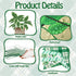 Qilery 50 Pcs Plant Bulletin Board Decoration Plant Kindness Grow Greatness Bulletin Board Cutouts Positive Greenery Plant Bulletin Board Set for ...