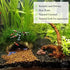 SunGrow Coconut Aquarium Shrimp Cave, Small Fish Tank Aquarium Decorations Accessories, Comfortable Shelter and Breeding Area for Crustaceans, Fis...